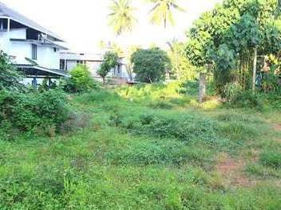 Residential Plot 80 Cent for Sale in Chengannur, Alappuzha