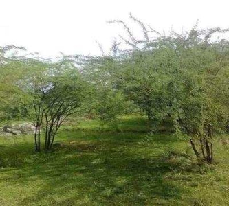 Agricultural Land 82000 Sq.ft. for Sale in mavoor Thiruvarur