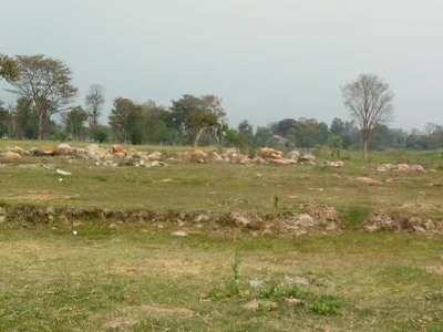 Agricultural Land 8347 Sq. Meter for Sale in Shahpur, Kangra