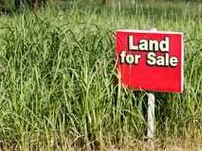 Agricultural Land 86 Bigha for Sale in