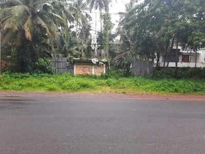 Commercial Land 88 Cent for Sale in Kumbla, Kasaragod