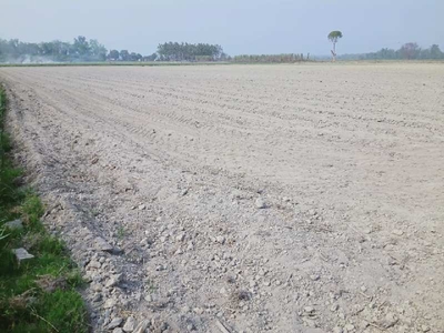 Agricultural Land 9 Ares for Sale in Nanpara, Bahraich