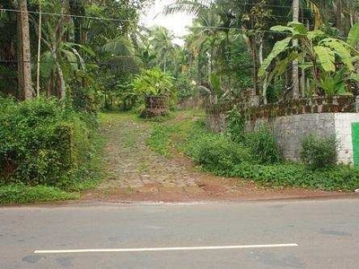 Residential Plot 9 Cent for Sale in