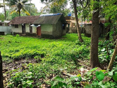 9 Cent Residential Plot for Sale in Udayamperoor, Kochi