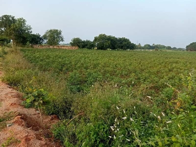 Agricultural Land 1 Acre for Sale in Aleru, Hyderabad