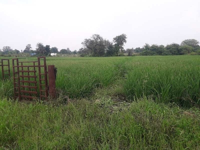 Agricultural Land 1 Acre for Sale in Bhadbhada Road, Bhopal