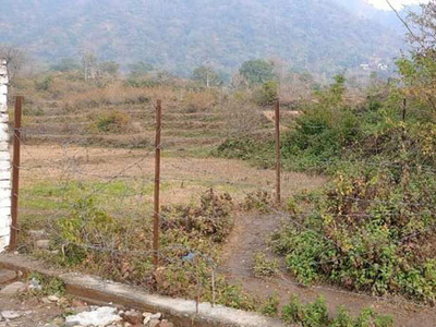 Agricultural Land 1 Acre for Sale in Dunera, Pathankot