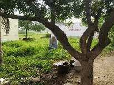 Agricultural Land 1 Acre for Sale in Pennagaram, Dharmapuri