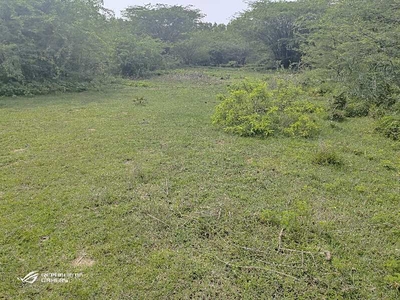 Agricultural Land 1 Acre for Sale in Uthukkottai, Thiruvallur