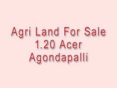 Agricultural Land 1 Ares for Sale in