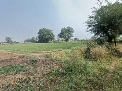 Agricultural Land 1 Bigha for Sale in