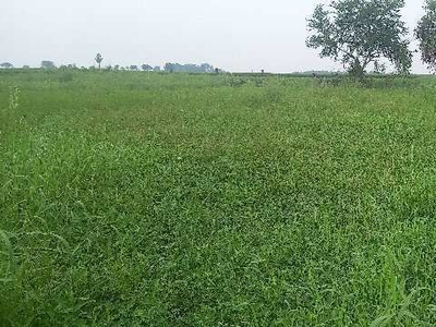 Agricultural Land 1 Cent for Sale in