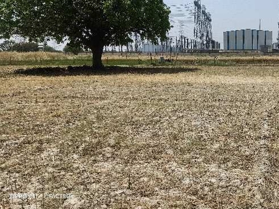 Agricultural Land 1 Hectares for Sale in Amraudha, Kanpur Dehat