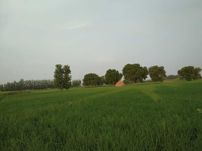 Agricultural Land 1 Hectares for Sale in Gabhana, Aligarh