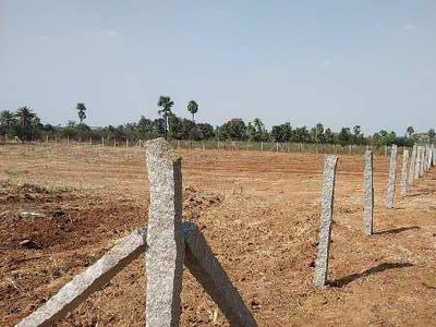 Agricultural Land 10 Acre for Sale in Amangal, Rangareddy