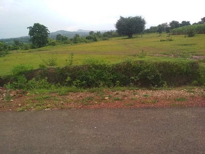Agricultural Land 10 Acre for Sale in Angol, Belgaum