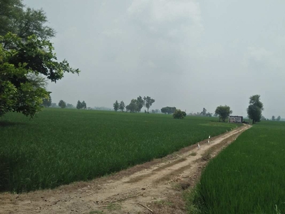 Agricultural Land 12 Acre for Sale in GT Road, Phagwara