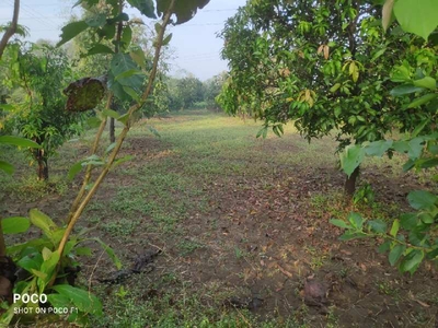 Agricultural Land 10 Acre for Sale in Dharampur, Valsad