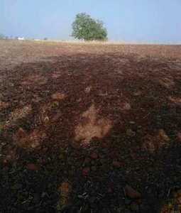 Agricultural Land 10 Acre for Sale in Jath, Sangli