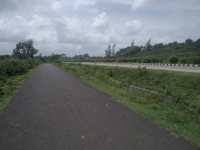 Agricultural Land 10 Acre for Sale in Kittur, Belgaum