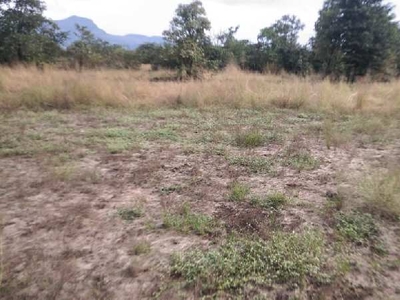 Agricultural Land 10 Acre for Sale in Mangaon, Raigad
