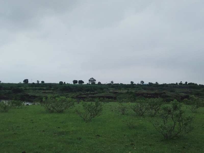 Agricultural Land 10 Ares for Sale in Nimgaon Wagha, Ahmednagar