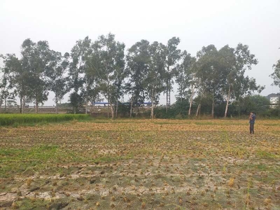 Agricultural Land 10 Bigha for Sale in NH 1, Rajpura