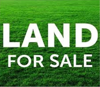 Agricultural Land 100 Acre for Sale in