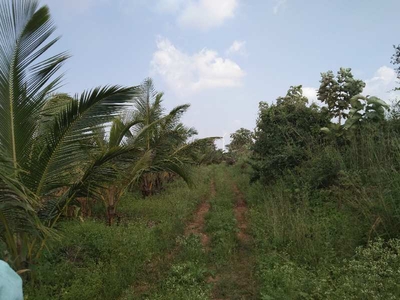Agricultural Land 100 Hectares for Sale in Hosayellapur, Dharwad