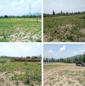 Agricultural Land 100 Sq. Yards for Sale in Dhaulas, Dehradun