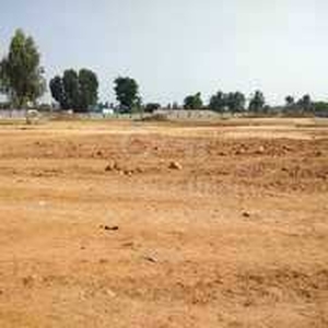 Agricultural Land 10000 Sq. Yards for Sale in