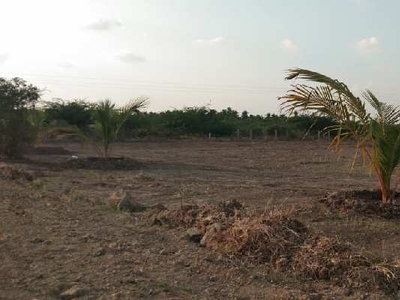 Agricultural Land 10000 Sq.ft. for Sale in Agaram, Dindigul