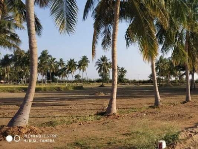 Agricultural Land 10000 Sq.ft. for Sale in Trichy Highways, Tiruchirappalli