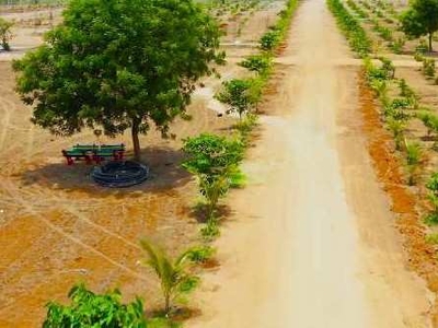 Agricultural Land 1000000 Sq. Yards for Sale in Thummaloor, Hyderabad
