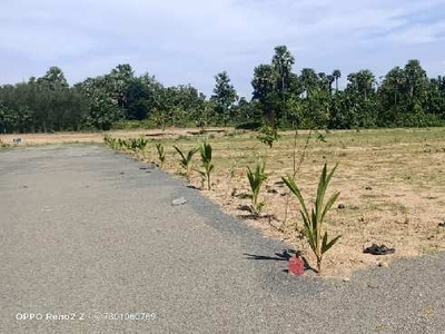 Agricultural Land 1016 Sq. Yards for Sale in Araku Road, Visakhapatnam