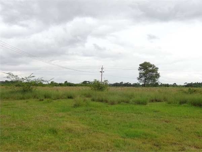 Agricultural Land 10649 Sq. Yards for Sale in