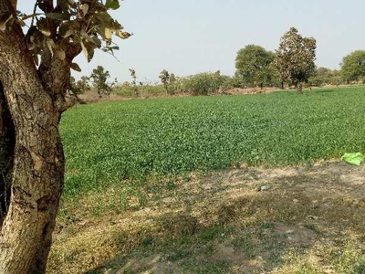 Agricultural Land 108140 Sq.ft. for Sale in Bhinder, Udaipur