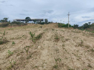 Agricultural Land 10890 Sq.ft. for Sale in Holenarsipur, Hassan