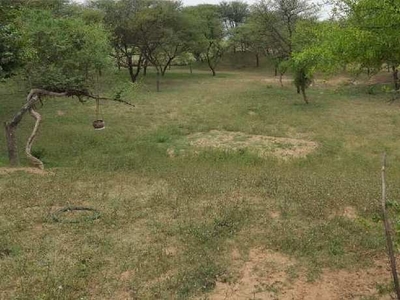 Agricultural Land 11 Bigha for Sale in Kukas, Jaipur