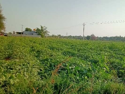 Agricultural Land 11 Hectares for Sale in