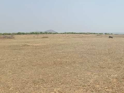 Agricultural Land 115 Acre for Sale in Amangal, Hyderabad