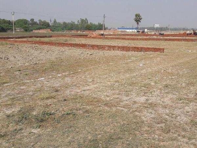 Agricultural Land 118 Acre for Sale in Jabalpur Jabalpur