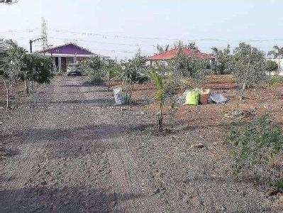 Agricultural Land 12 Acre for Sale in Dahej GIDC, Bharuch
