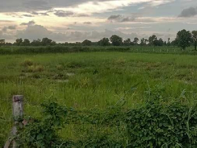Agricultural Land 12 Bigha for Sale in