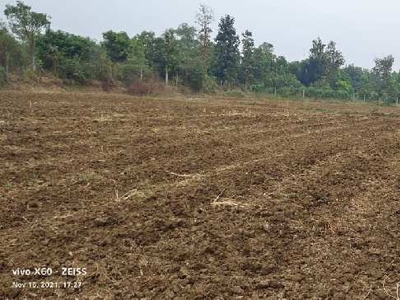 Agricultural Land 128 Guntha for Sale in Dharampur, Valsad