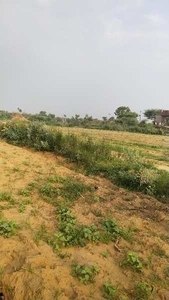 Agricultural Land 13 Bigha for Sale in 11 Km. from Behror towards Alwar Behror