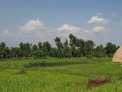 Agricultural Land 13 Bigha for Sale in