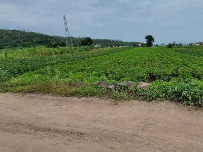 Agricultural Land 13 Guntha for Sale in