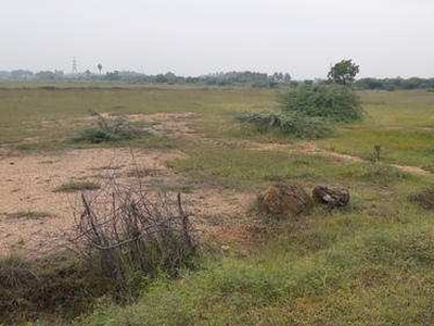 Agricultural Land 135 Acre for Sale in Dabaspete, Bangalore