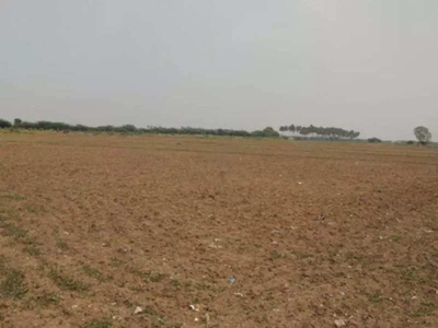 Agricultural Land 14 Acre for Sale in Taoru, Gurgaon